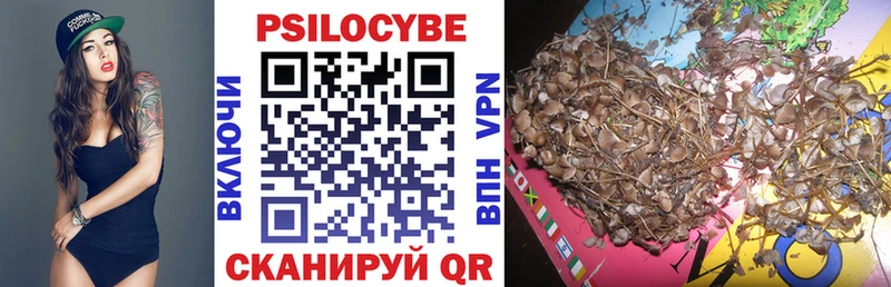 Псилоцибиновые грибы GOLDEN TEACHER Дмитров